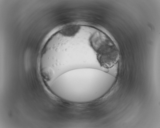 X0000113751245200910141019