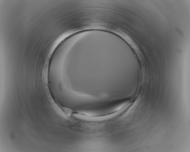 X0000113751246200910141019