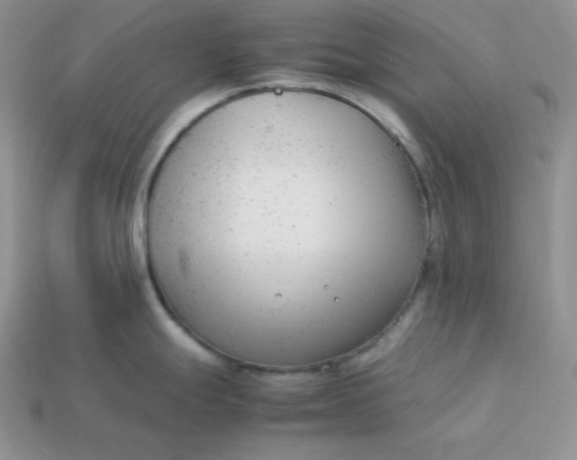 X0000113751247200910141019