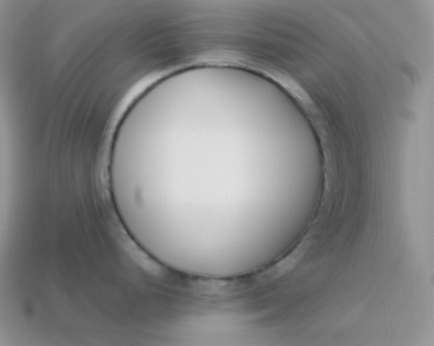 X0000113751248200910141019