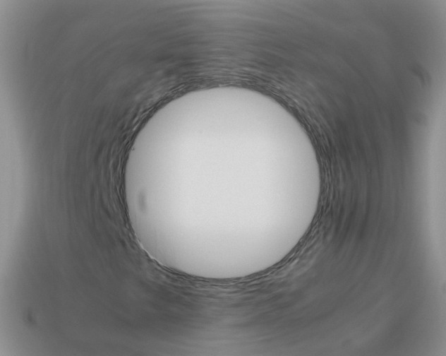 X0000113751249200910141019