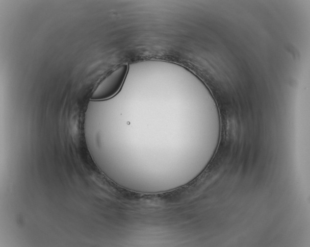 X0000113751250200910141019