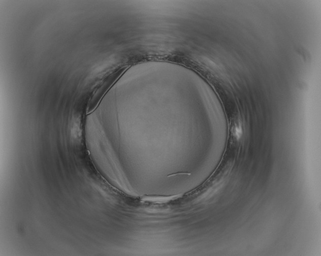 X0000113751252200910141019