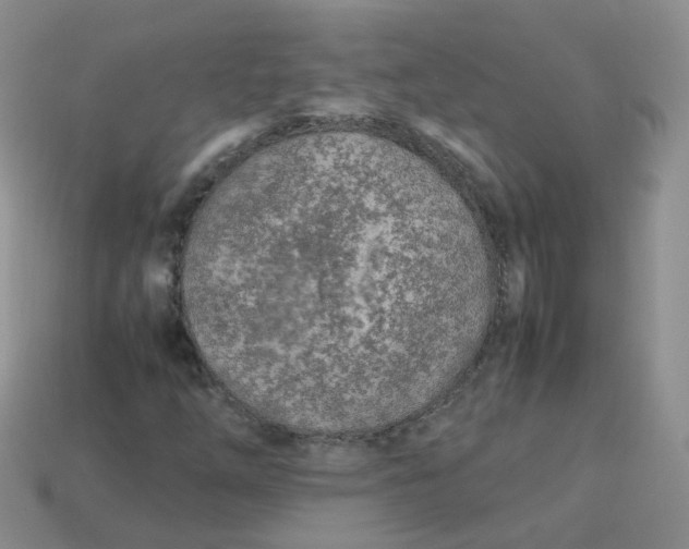 X0000113751254200910141019