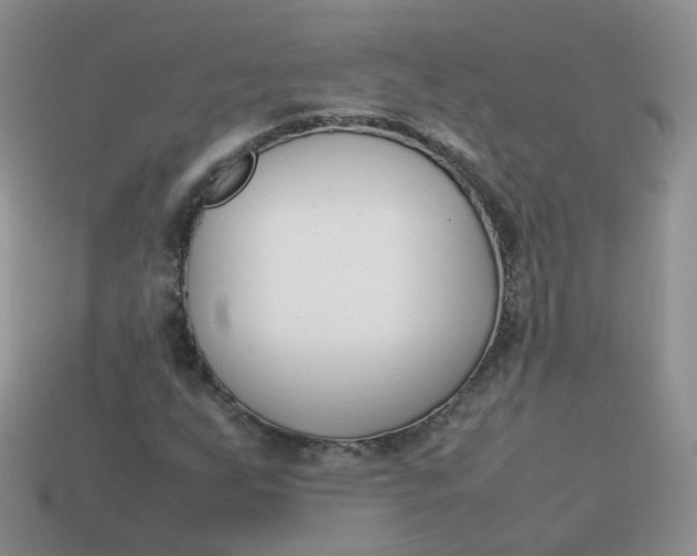 X0000113751255200910141019