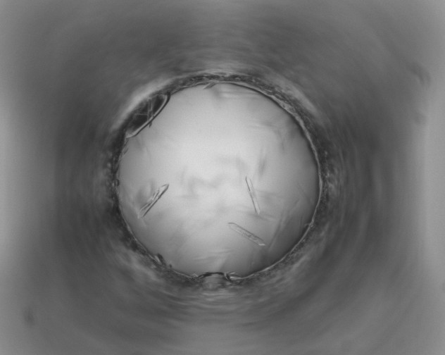 X0000113751256200910141019