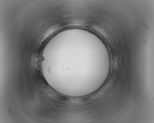 X0000113751258200910141019