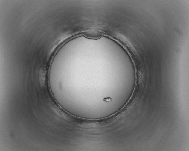 X0000113751260200910141018