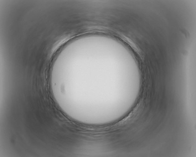 X0000113751261200910141018