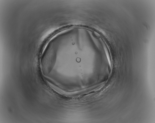 X0000113751263200910141018