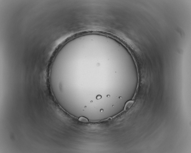 X0000113751264200910141018