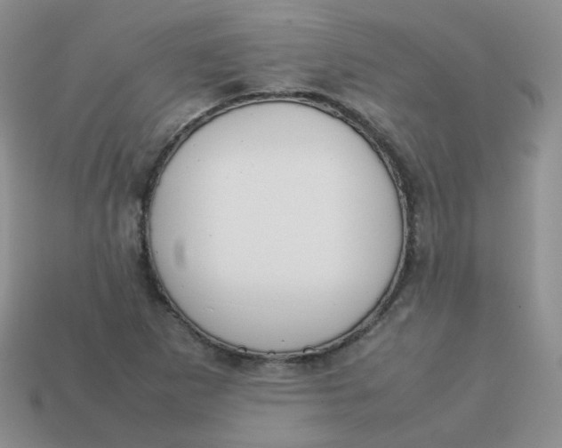 X0000113751265200910141018