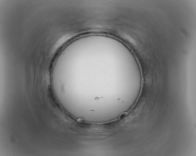 X0000113751267200910141018