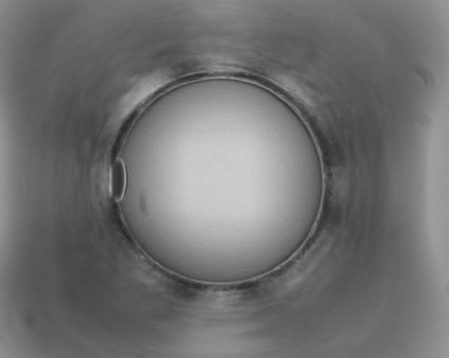 X0000113751269200910141018