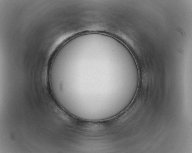 X0000113751270200910141018