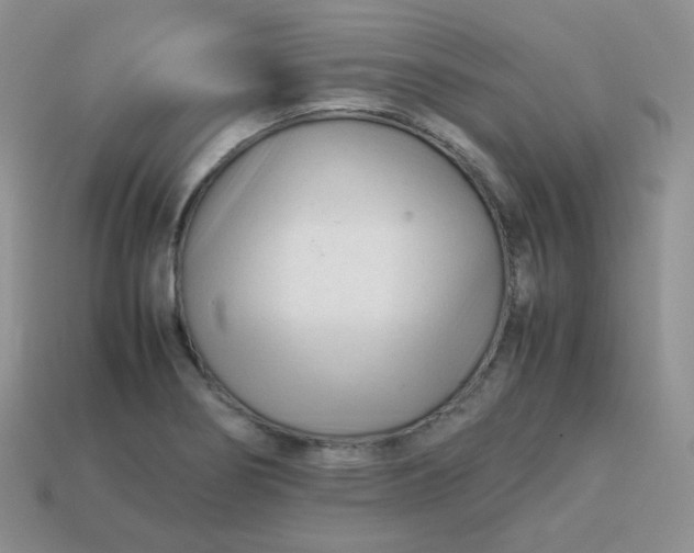 X0000113751274200910141018