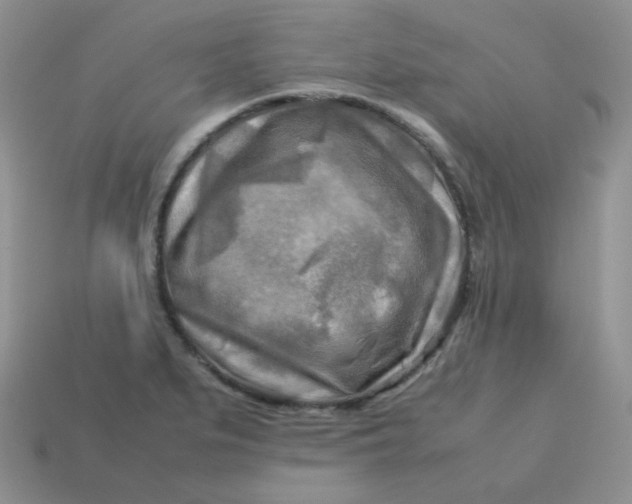 X0000113751279200910141018