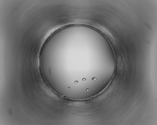 X0000113751280200910141018