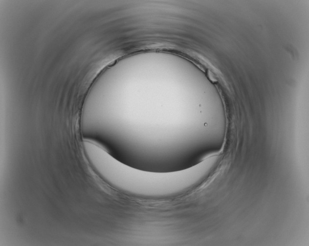 X0000113751281200910141018