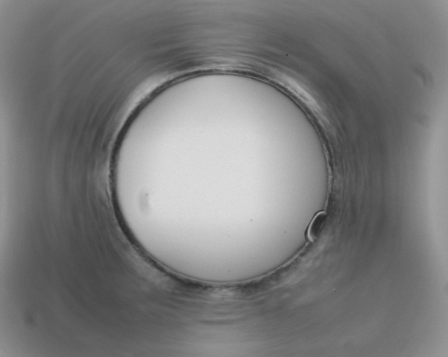 X0000113751283200910141018