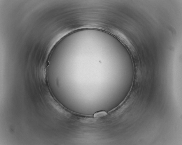 X0000113751284200910141018