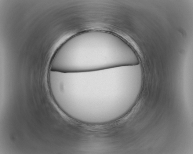 X0000113751285200910141018