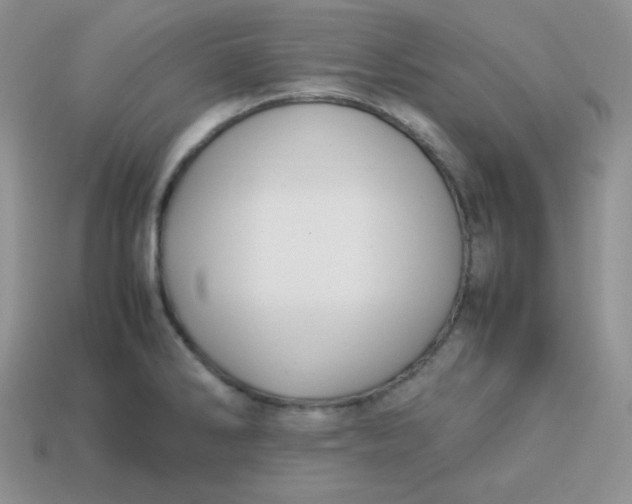 X0000113751286200910141018