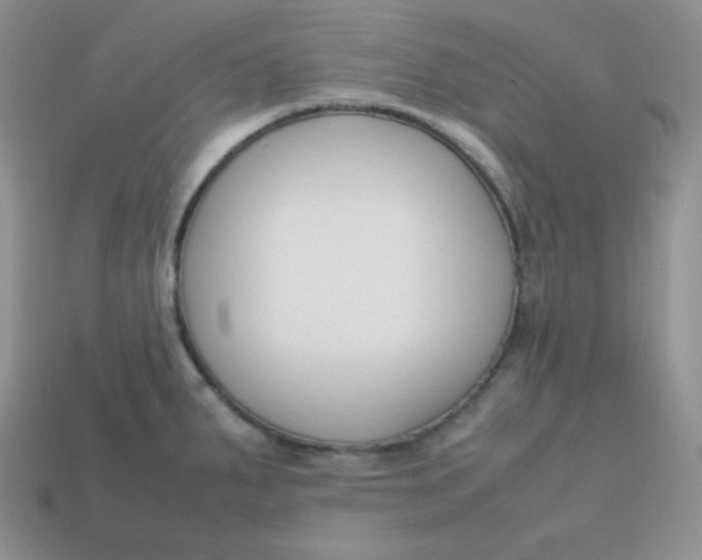 X0000113751287200910141018