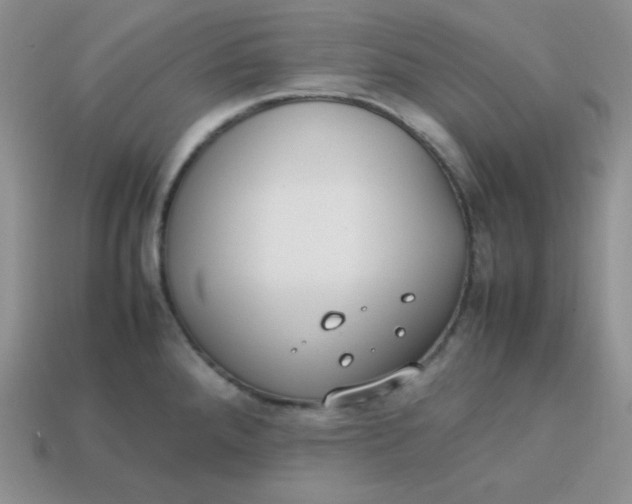 X0000113751288200910141018