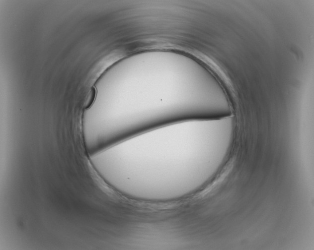 X0000113751289200910141018