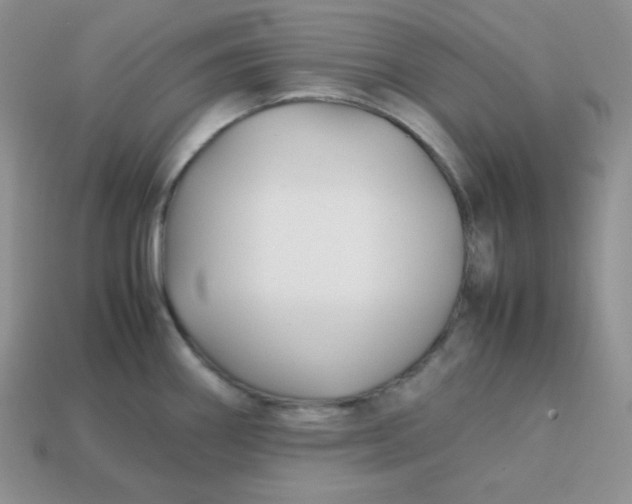 X0000113751290200910141018