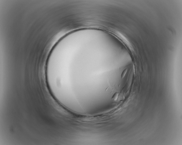 X0000113751291200910141018