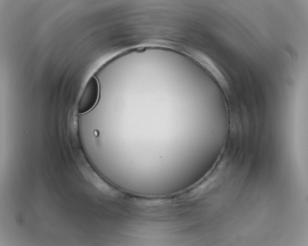 X0000113751292200910141018