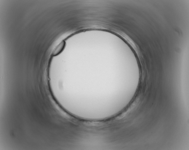 X0000113751293200910141018