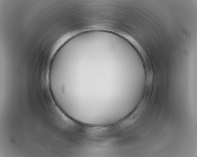 X0000113751294200910141018