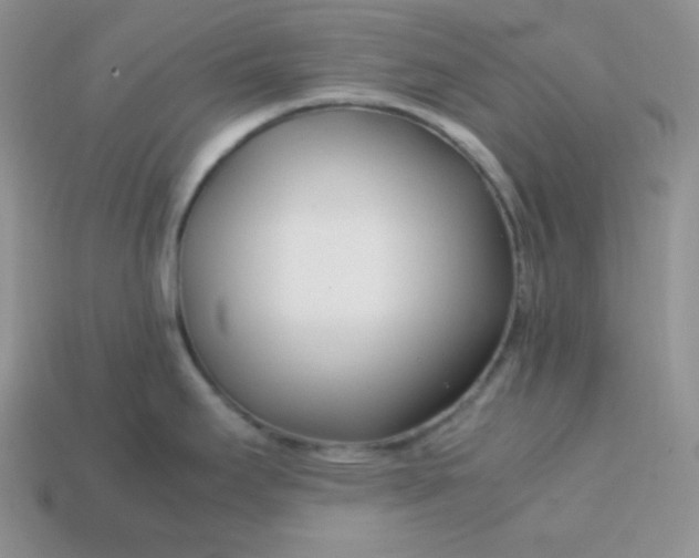 X0000113751295200910141018