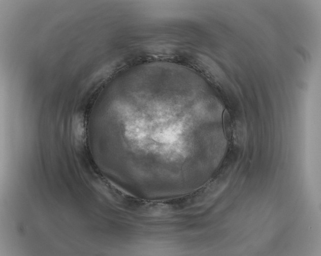 X0000113751298200910141017