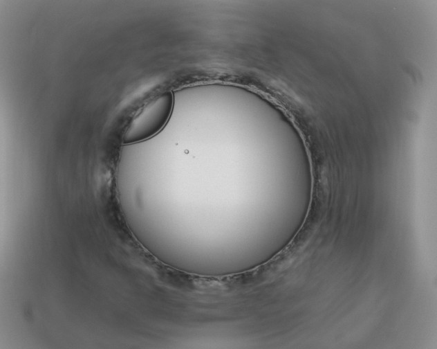 X0000113751302200910141017