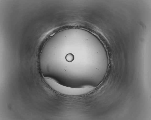 X0000113751304200910141017