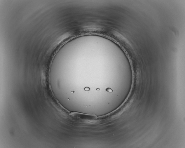 X0000113751305200910141017