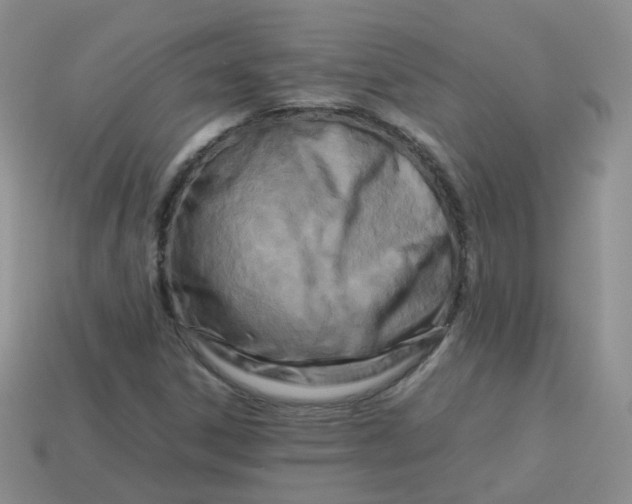 X0000113751306200910141017