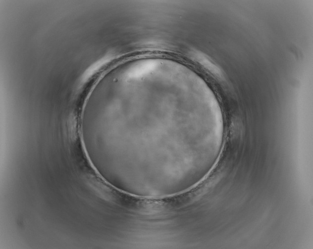 X0000113751310200910141017