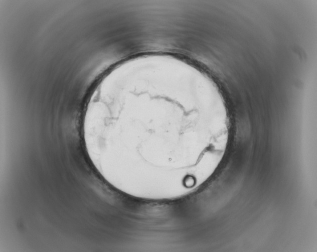 X0000113751314200910141017