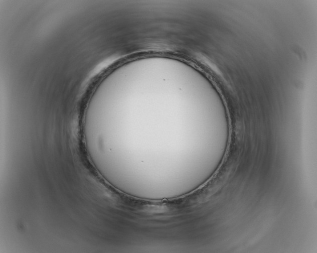 X0000113751315200910141017