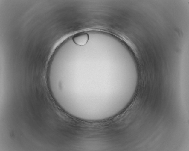 X0000113751316200910141017