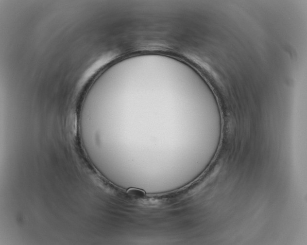 X0000113751317200910141017