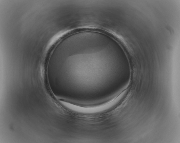 X0000113751319200910141018