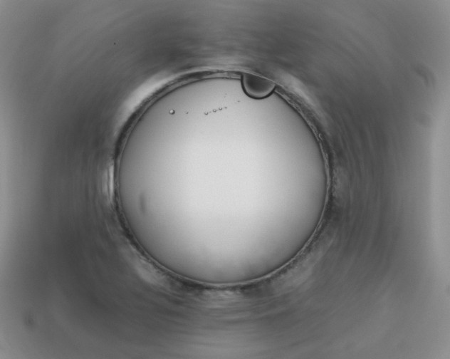 X0000113751320200910141018