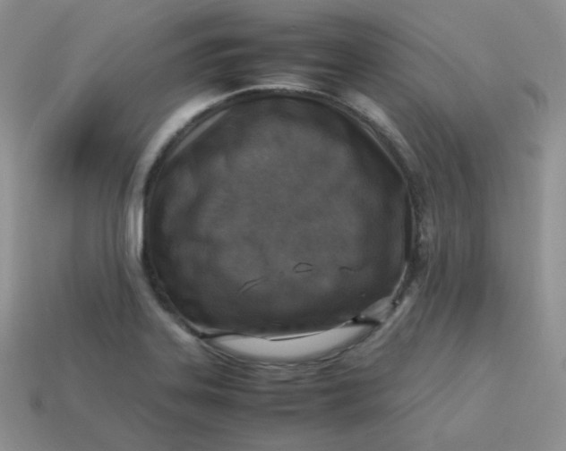 X0000113751323200910141018