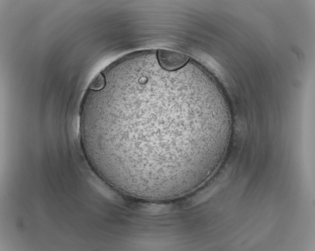 X0000113751324200910141018